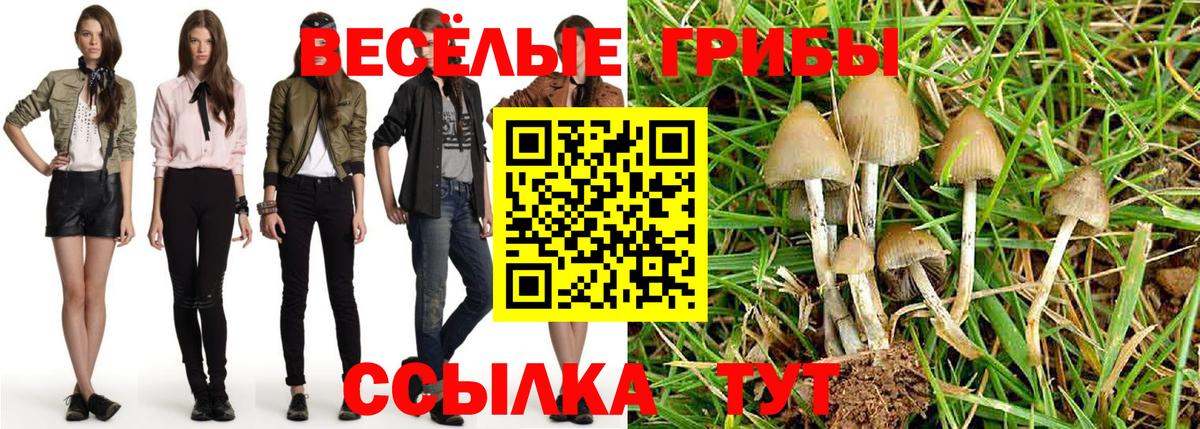 Мефедрон  Вход с VPN  A-PVP СОЛЬ   Кокаин  Меф МЯУ МЯУ   Славгород  ГАШ  ЭКСТАЗИ 