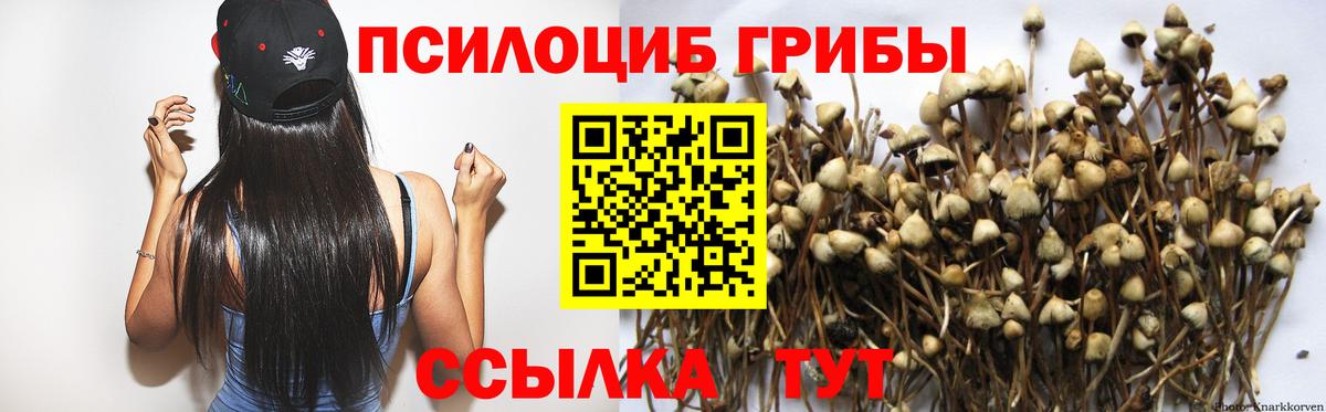 Псилоцибиновые грибы ЛСД  Вход с VPN  Псилоцибиновые грибы ЛСД  Славгород 